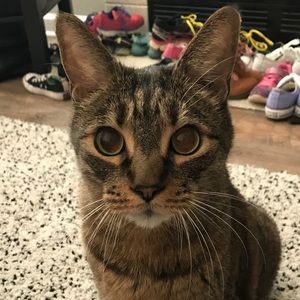 Meet your Posher, Angelina